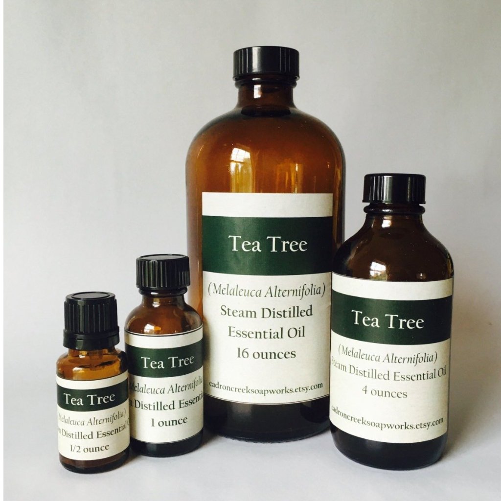 Bulk Essential Oil, Tea Tree, Melaleuca Alternifolia
